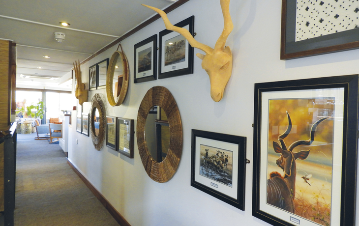 RV Zimbabwean Dream,Innen, Deko, Schiff - 453037©Michelle Louise Lawson 