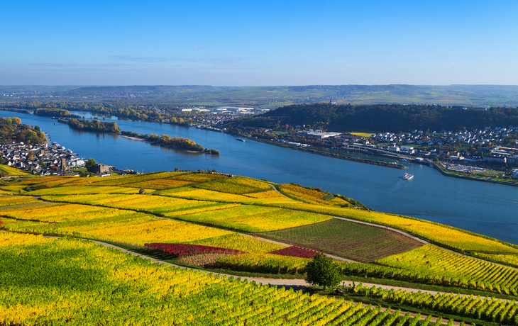 Blick ins Rheintal im Herbst - ©fotografci - stock.adobe.com