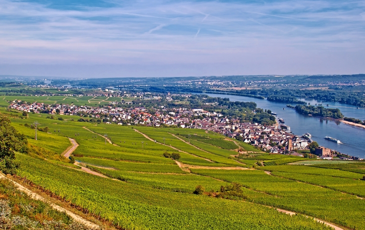 Rüdesheim am Rhein mit Weinbergen - © mojolo - Fotolia