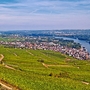 Rüdesheim am Rhein mit Weinbergen