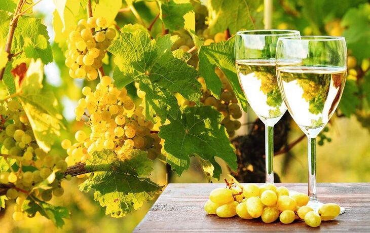 Weinreben und Weißwein - © Visions-AD - Fotolia