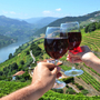 Weinberge im Duoro-Tal, Portugal