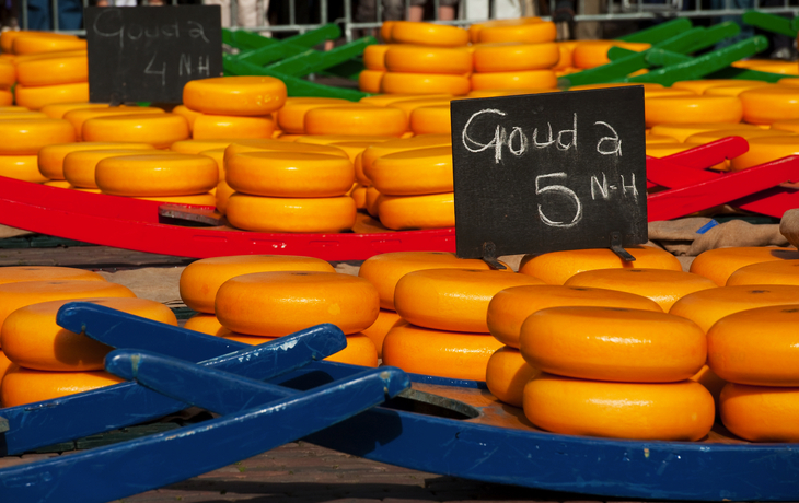 holländischer Käse auf dem Markt in Alkmaar - © Ivonne Wierink - stock.adobe.com