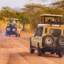 Jeeps auf afrikanische Tiersafari.