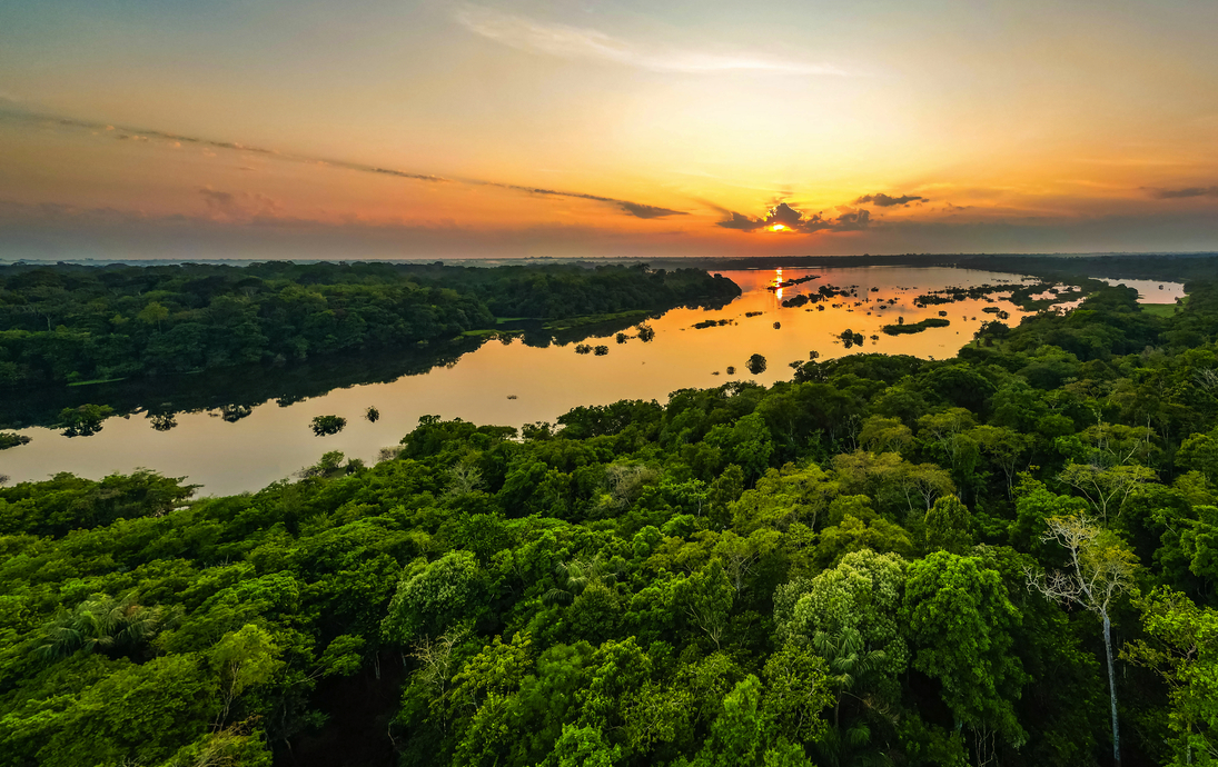 Blick auf den Regenwald im Amazonasgebiet Brasiliens - © PhotoSpirit - stock.adobe.com