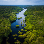 Anavilhanas-Archipel - eines der weltweit größten Flussinsel-Archipele des Rio Negro im Amazonasgebiet von Brasilien