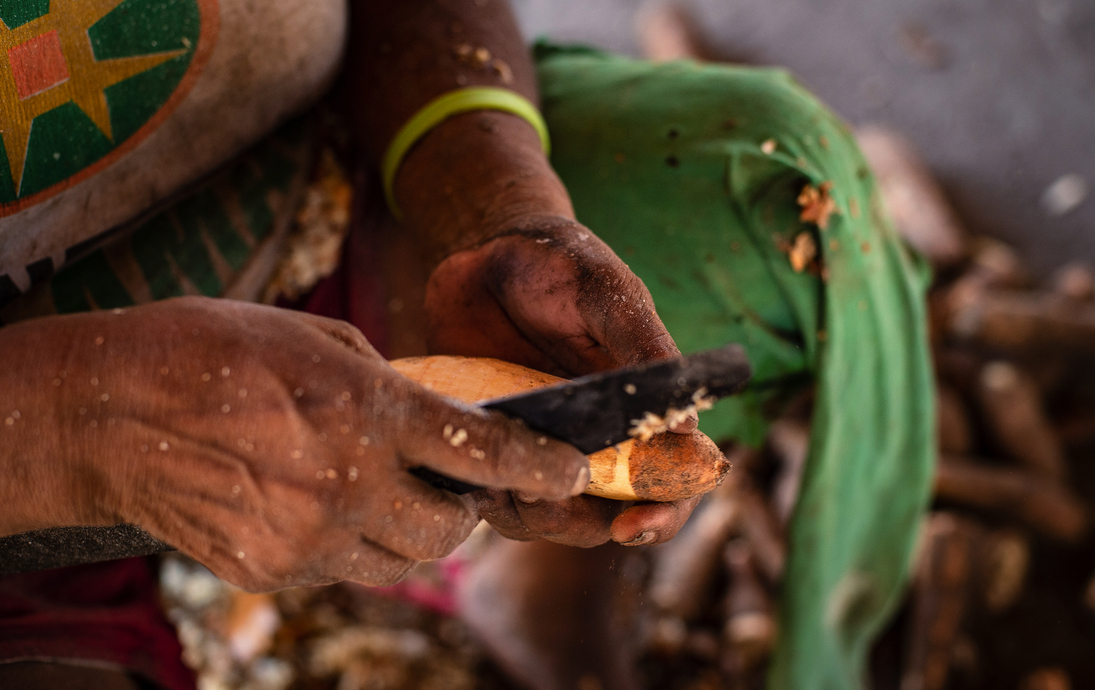Pez y Yuca Brava, typisches Essen der indigenen Bevölkerung von Inirida - © Wil.Amaya - stock.adobe.com
