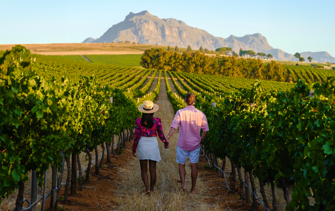 Weinberglandschaft in Stellenbosch - © Fokke Baarssen - stock.adobe.com