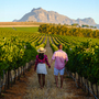 Weinberglandschaft in Stellenbosch