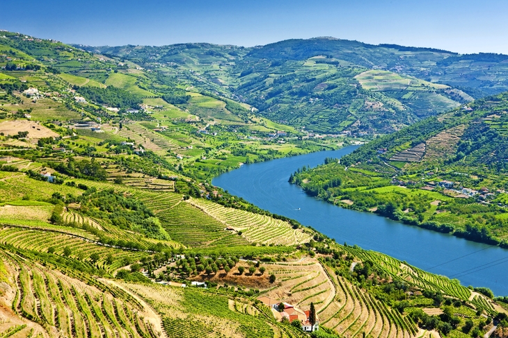 Weinreben im Douro-Tal, Portugal - © PHB.cz - stock.adobe.com