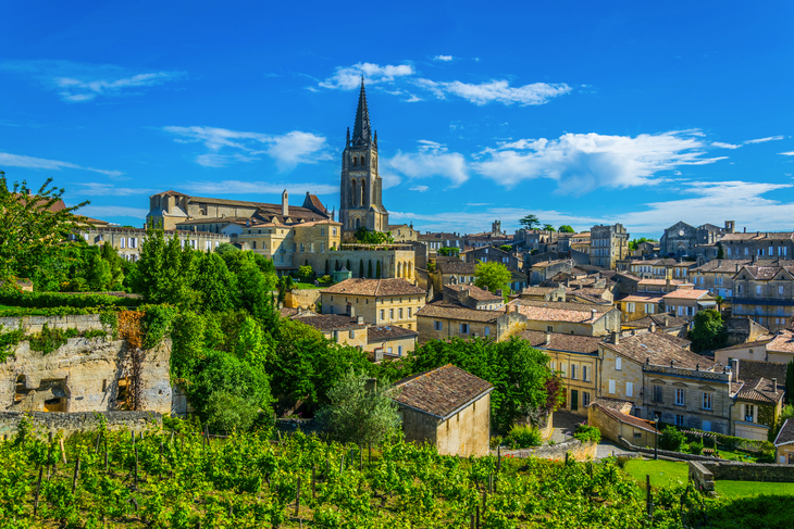 Luftaufnahme des französischen Dorfes Saint Emilion - ©dudlajzov - stock.adobe.com