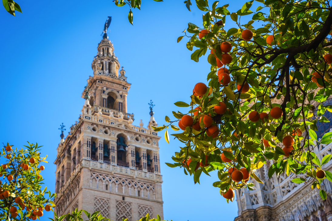 Giralda - Turm in Sevilla - © Aranami - stock.adobe.com
