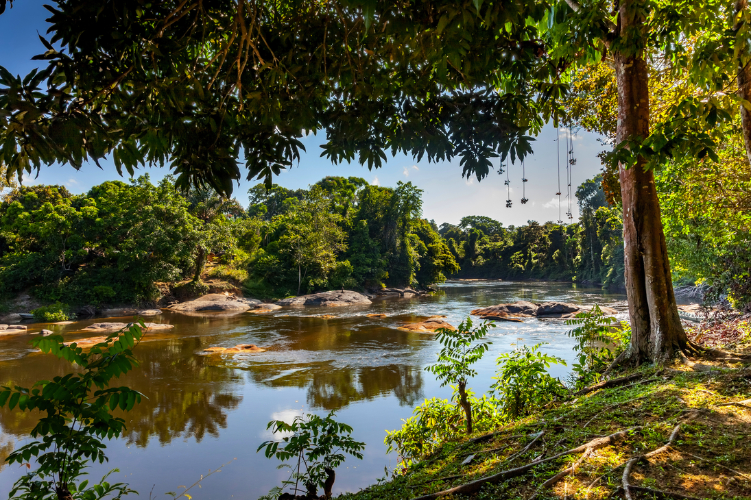 Blick auf den Gran Rio in Suriname - © marcelmaaktfotoos.nl - stock.adobe.com