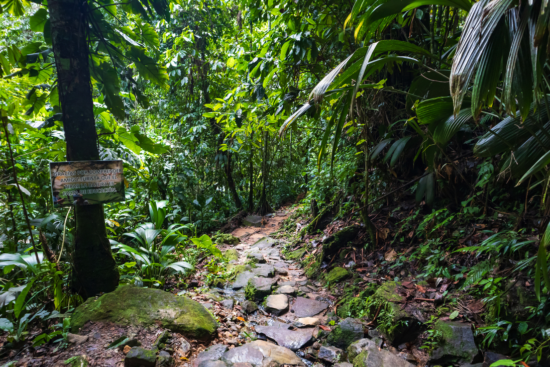 Naturschutzgebiet im Amazonasgebiet - © JASON - stock.adobe.com