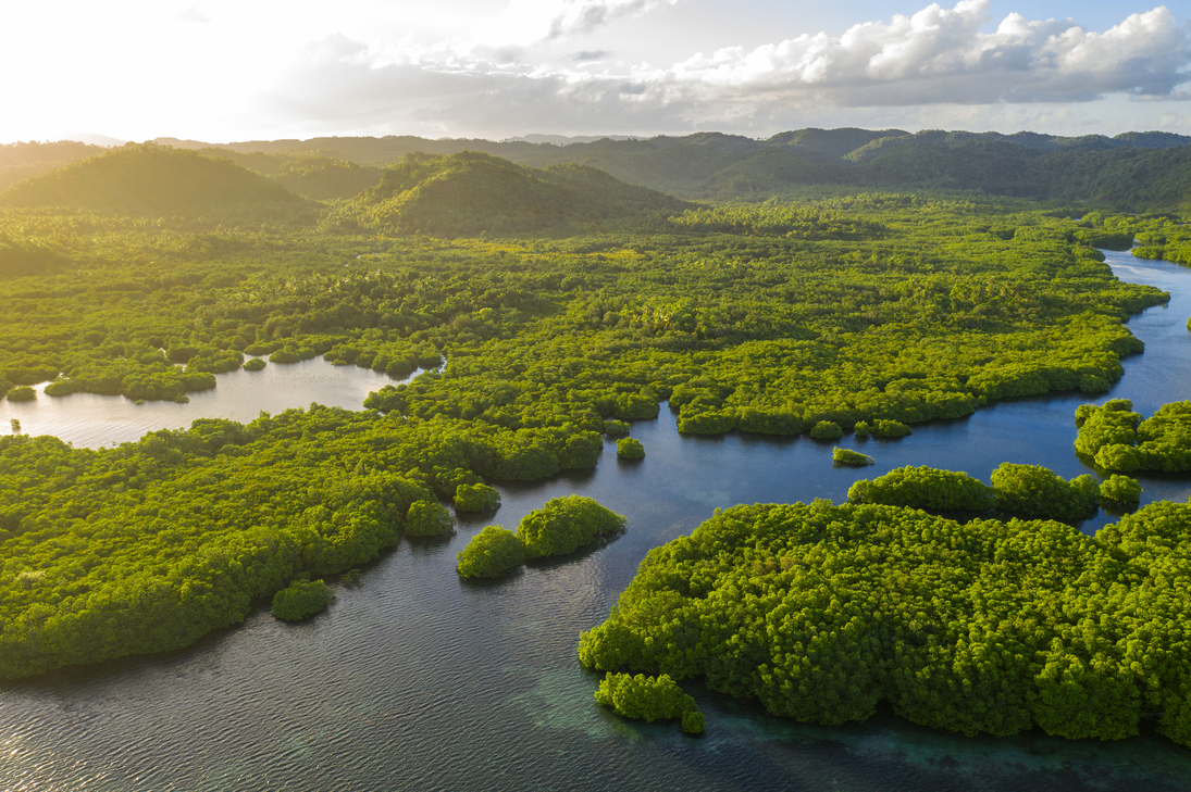 Anavilhanas-Archipel - eines der weltweit größten Flussinsel-Archipele des Rio Negro im Amazonasgebiet von Brasilien - © Timelapse4K - stock.adobe.com