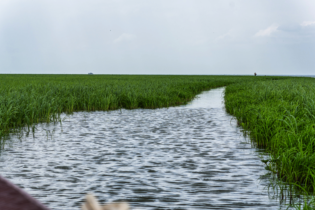 Bootsfahrt auf dem Jari-Kanal in Alter do Chao, Distrikt Santarem, Bundesstaat Para, Brasilien - © rudiernst - stock.adobe.com